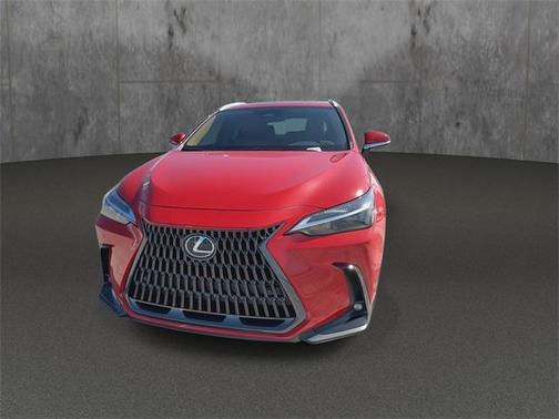 2025 Lexus NX 250 Premium