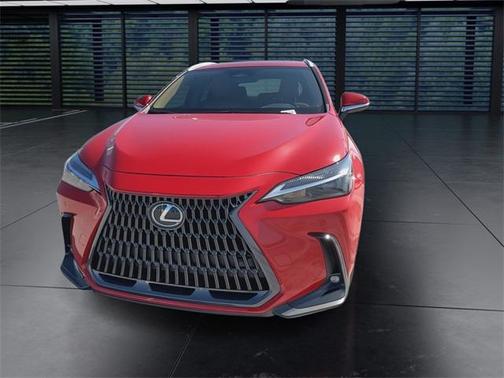 2025 Lexus NX 250 Premium