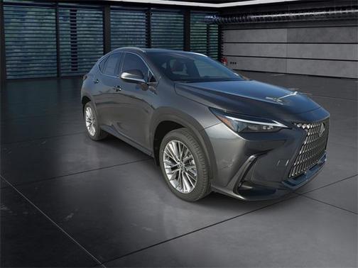 2025 Lexus NX 350h Premium