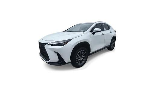 2025 Lexus NX 250 Premium