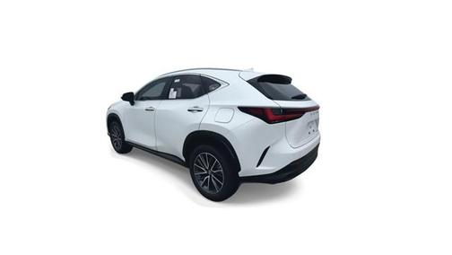 2025 Lexus NX 250 Premium