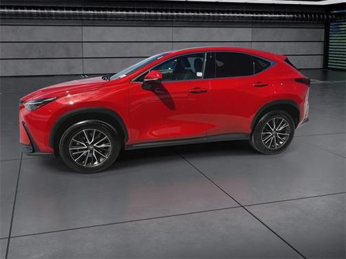 2024 Lexus NX 250 Premium