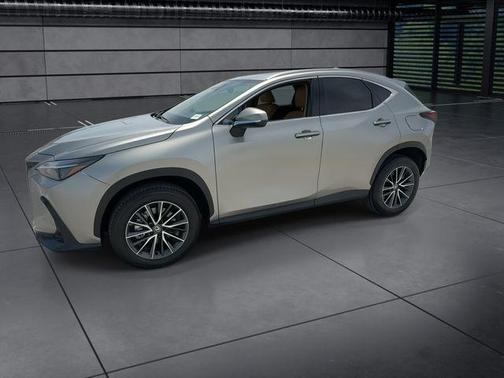 Atomic Silver 2025 Lexus NX 250 Premium