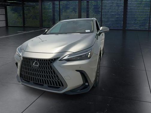 Atomic Silver 2025 Lexus NX 250 Premium