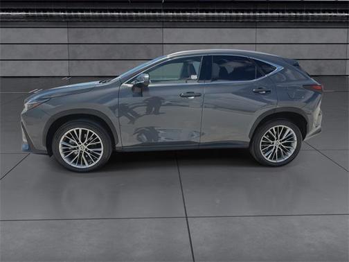 2022 Lexus NX 350h Premium