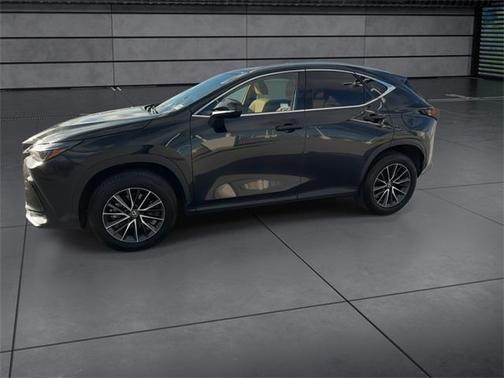 2024 Lexus NX 250 Premium
