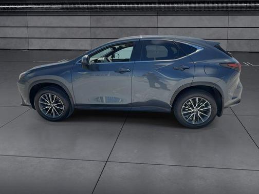 Cloudburst Gray 2025 Lexus NX 250 Premium