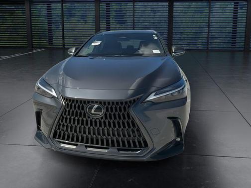 Cloudburst Gray 2025 Lexus NX 250 Premium