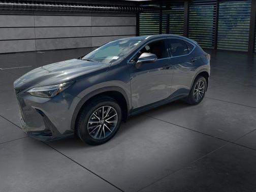 Cloudburst Gray 2025 Lexus NX 250 Premium