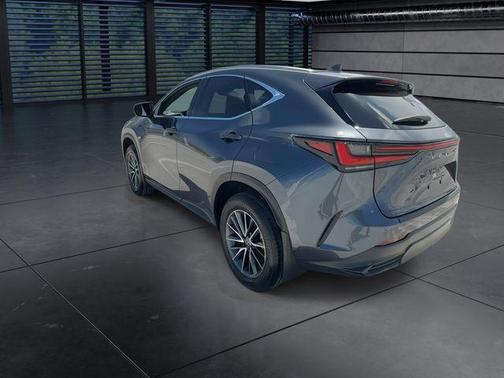 Cloudburst Gray 2025 Lexus NX 250 Premium