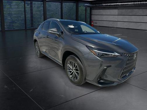 Cloudburst Gray 2025 Lexus NX 250 Premium