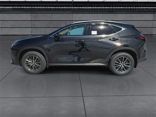 2025 Lexus NX 250 Base
