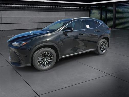 2025 Lexus NX 250 Base