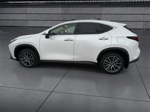 2024 Lexus NX 250 Premium