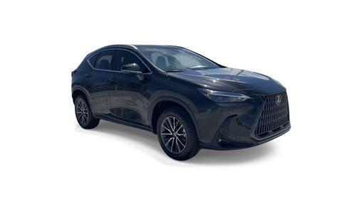 2025 Lexus NX 250 Premium