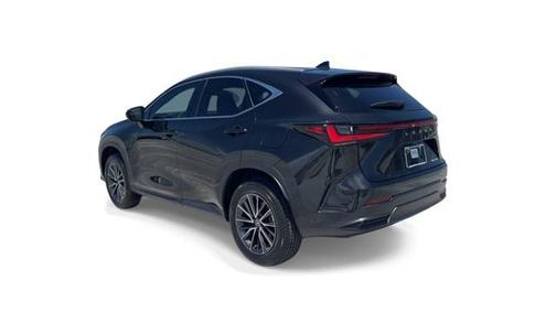 2025 Lexus NX 250 Premium