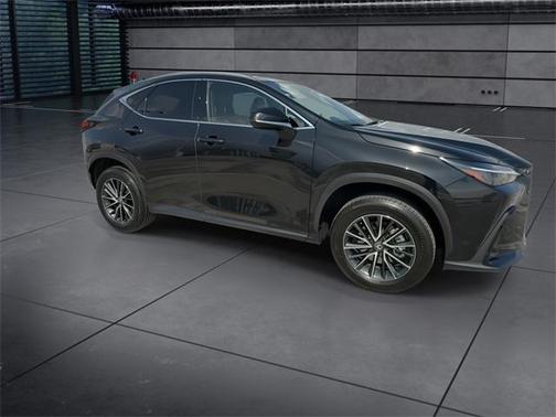 2025 Lexus NX 250 Premium