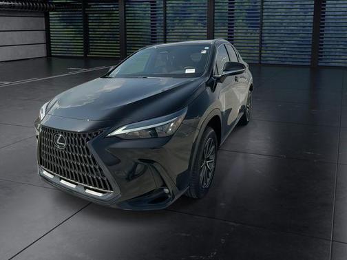 2025 Lexus NX 250 Premium