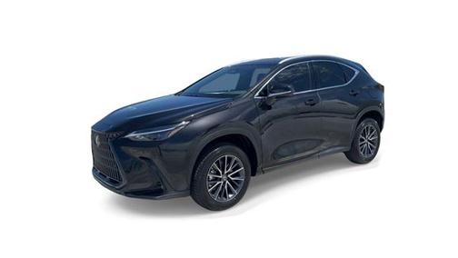 2025 Lexus NX 250 Premium