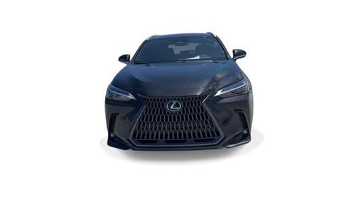 2025 Lexus NX 250 Premium