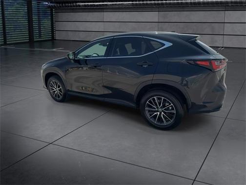 2025 Lexus NX 250 Premium