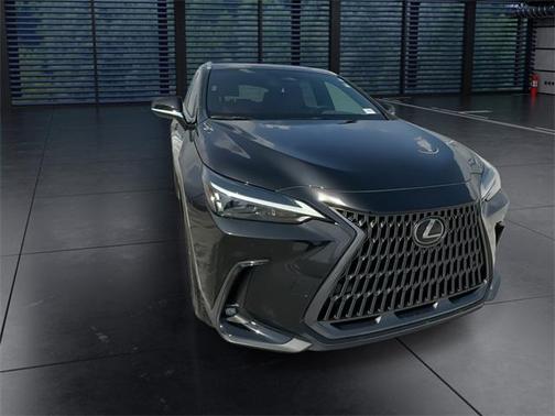 2025 Lexus NX 250 Premium