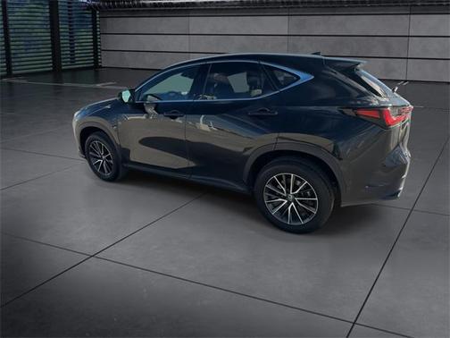 2024 Lexus NX 250 Premium