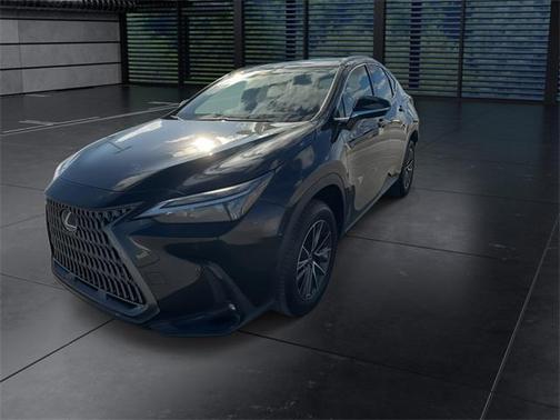 2024 Lexus NX 250 Premium