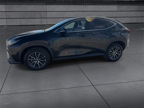 2024 Lexus NX 250 Premium