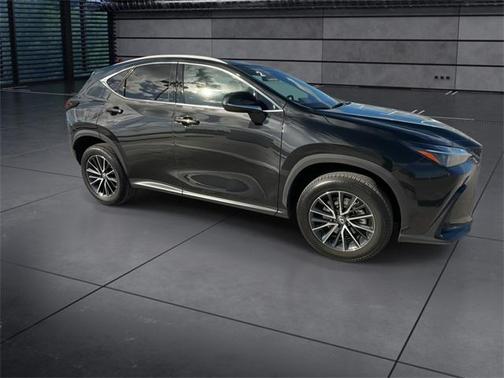 2024 Lexus NX 250 Premium