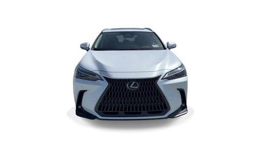 2024 Lexus NX 250 Premium