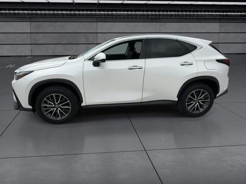2024 Lexus NX 250 Premium