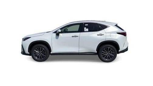 2024 Lexus NX 250 Premium