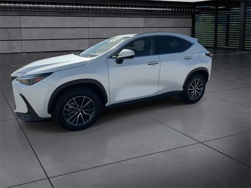 2024 Lexus NX 250 Premium