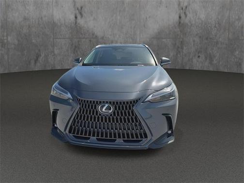 2025 Lexus NX 250 Premium