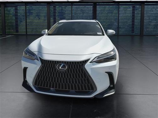 2025 Lexus NX 250 Premium