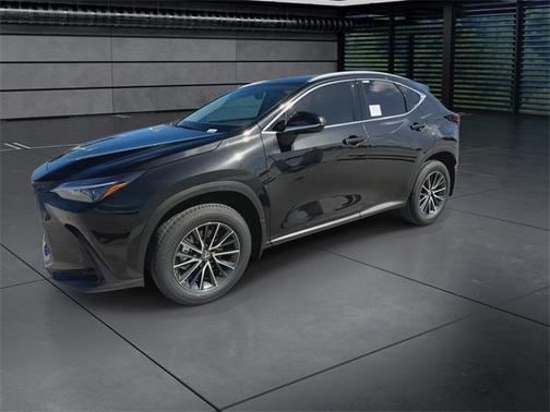 2025 Lexus NX 250 Premium
