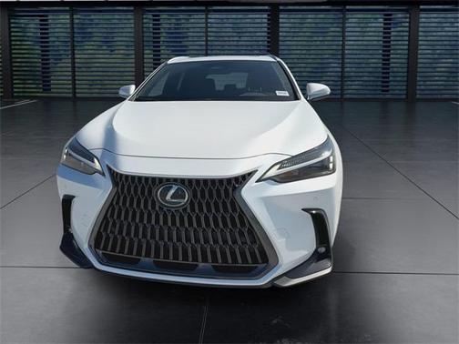 2025 Lexus NX 250 Premium