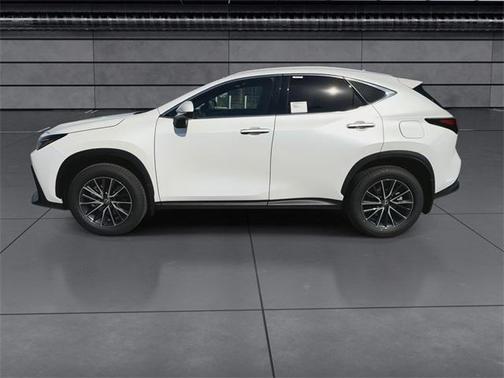 2025 Lexus NX 250 Premium