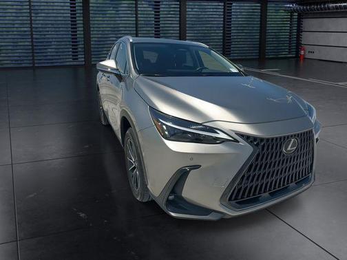 Atomic Silver 2025 Lexus NX 250 Premium