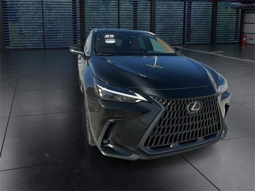 2025 Lexus NX 250 Base