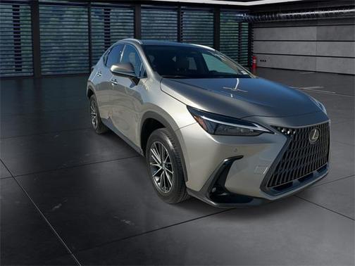2025 Lexus NX 250 Base
