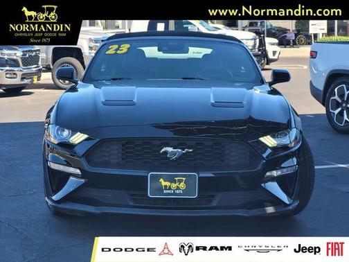 Shadow Black 2023 Ford Mustang EcoBoost Premium