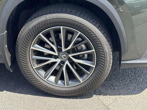 Green Pearl 2024 Lexus NX 350 350 Base
