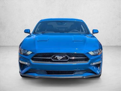 Velocity Blue Metallic 2019 Ford Mustang EcoBoost Premium