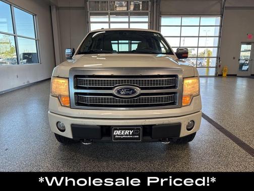 2009 Ford F-150 Platinum