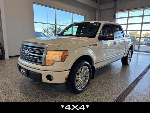 2009 Ford F-150 Platinum