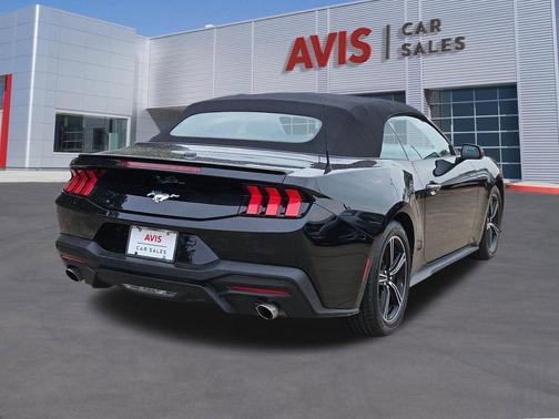 Shadow Black 2025 Ford Mustang EcoBoost Premium