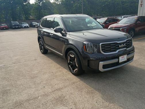 Panthera Metal 2025 Kia Telluride S