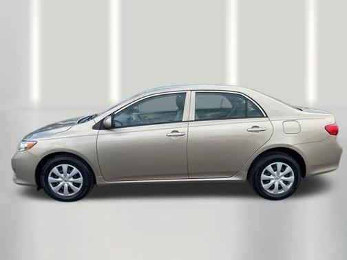 Beige 2010 Toyota Corolla LE